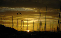 Sunset Harbor II by Tom Pinsent