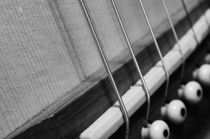 Strings von William Merkel