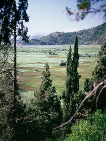 Lake Scutari  von Arseny Sigarev