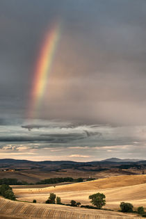 Somewhere Under the rainbow