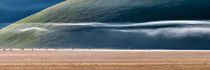 Castelluccio di Norcia by Marco Vegni