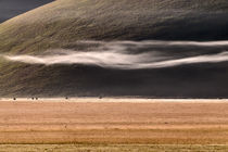 Castelluccio di Norcia von Marco Vegni