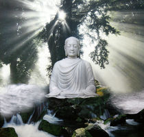 Buddha Nature von Yvonne Pfeifer