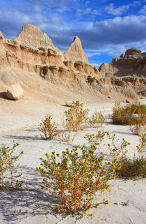 Badlands in der Abendsonne by buellom