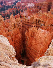 Bryce Canyon National Park 2 by buellom