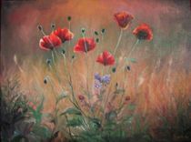 Field of poppies / Mohnfeld by Apostolescu  Sorin