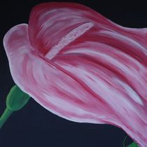 Calla pink von Christine Bässler