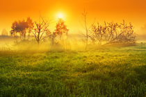 Bog Fog von Maxim Khytra