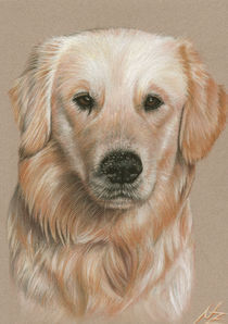 Golden Retriever Sandnase by Nicole Zeug