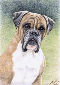 Boxer Hutch von Nicole Zeug