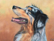 Australian Shepherd Dog von Nicole Zeug