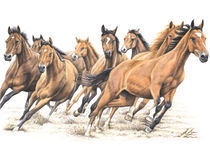 Trakehner Horses by Nicole Zeug