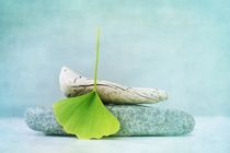 wood, stone and a gingko leaf von Priska  Wettstein