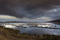 Sunset on Titicaca Lake