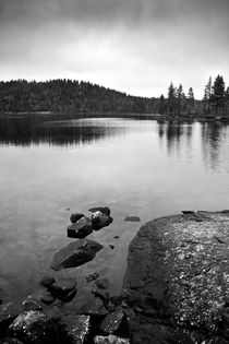 Gloomy Lake  von Amos Edana