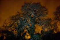 Untitled (Light Pollution) von Owen Martin