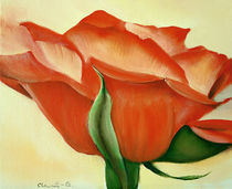 Rosenblüte von Ingrid Clement-Grimmer