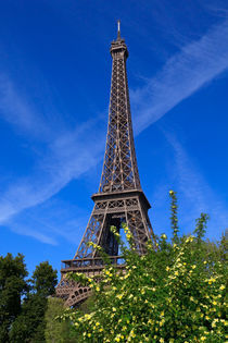 Paris in Spring von Louise Heusinkveld