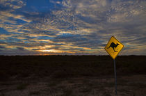 Australian Sunset in the Outback by Louise Heusinkveld