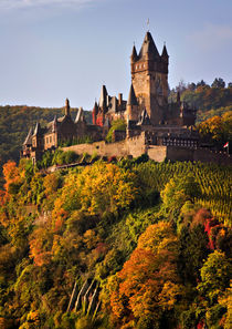 Reichsburg Castle by Louise Heusinkveld