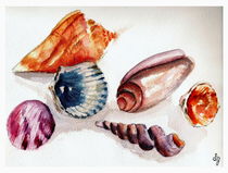 Summer Sea Shells von Sandra Gale