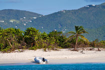 Tropical Island in the Caribbean by Louise Heusinkveld