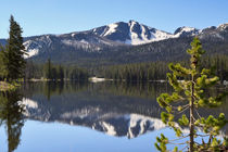 Sylvan Lake, Yellowstone National Park, Wyoming by Louise Heusinkveld