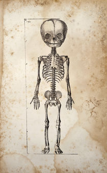 Standing Baby Skeleton von Mark Strozier