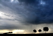 Unwetter am Niederrhein by Torsten Reuschling