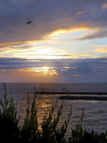 Sunsets of California - Newport Beach von Eye in Hand Gallery