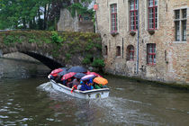 Wet Day on the Canal von Louise Heusinkveld