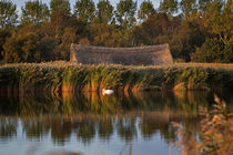 Still Waters of Horsey Mere on the Norfolk Broads von Louise Heusinkveld