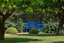 Blue Wooden Bench by Louise Heusinkveld