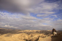 A view of the Judean Desert von Hanan Isachar