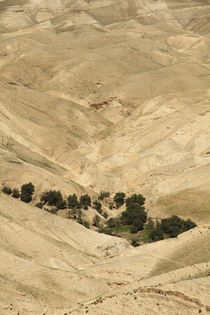 Judean desert, a view of Wadi Qelt von Hanan Isachar