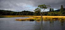 Flood von Tamas Katai