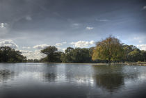 reflected landscape by Tristan Millward