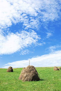 Countryside by Maria Livia Chiorean