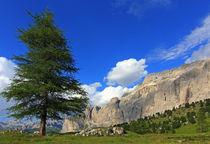 Dolomitenpanorama by Wolfgang Dufner