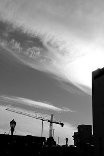 Skylines & Silhouettes II von Joaquin Novak-Zarate