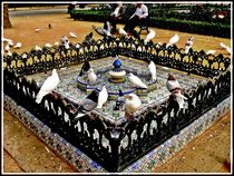 Doves in fountain of Seville von Maks Erlikh