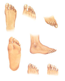 Body parts: feet von William Rossin