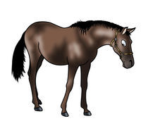 Brown horse by William Rossin