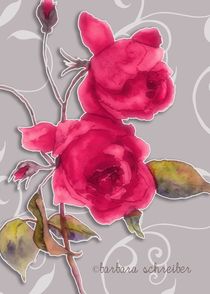 rote rosen auf grauem hintergrund by barbara schreiber