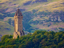 The Wallace Monument, Stirling von Buster Brown Photography