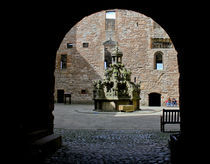 Linlithgow Palace, Main Entrance by Buster Brown Photography