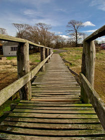 Rickety Bridge von Buster Brown Photography