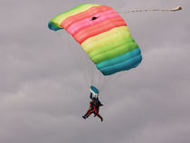 Coming in to land von Buster Brown Photography