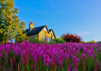 Little house on the Prairie von Buster Brown Photography