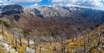 Panorama from Golic von Ivan Coric